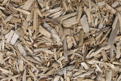 biomass boilers Loftus